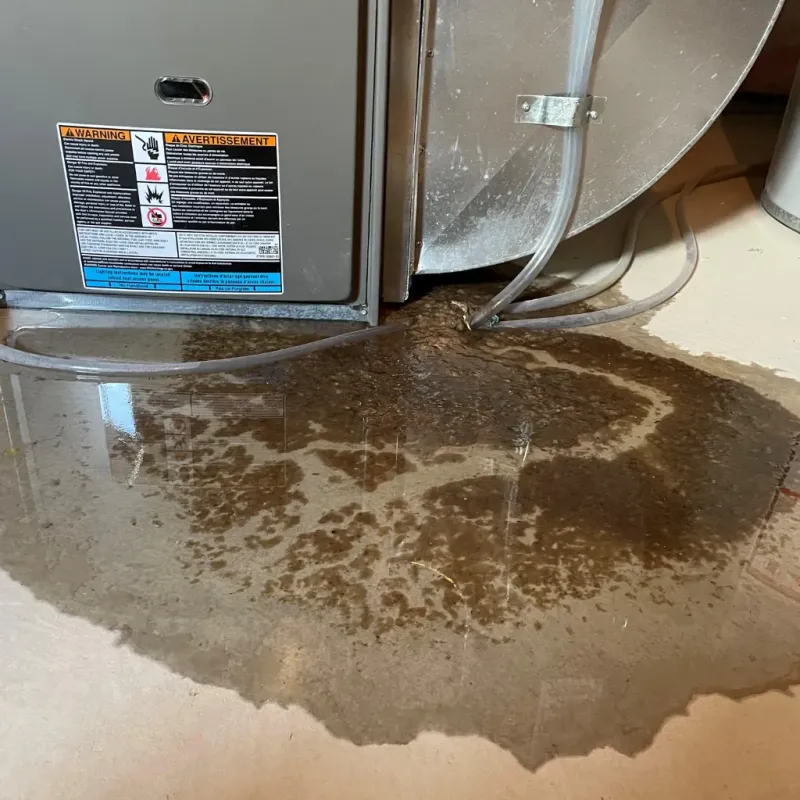 Appliance Leak Cleanup in Schertz, TX